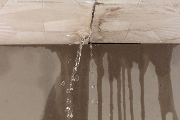 Professional Structural Drying technician working in Shrewsbury, NJ